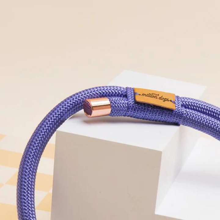 Hands-Free Rope Lead