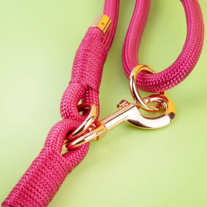 Hands-Free Rope Lead