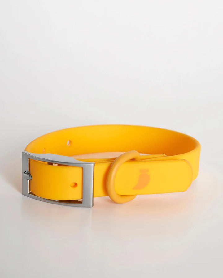 Rose Collar