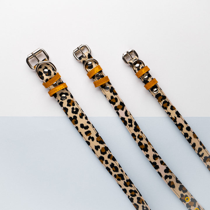 Leopard Print Collar