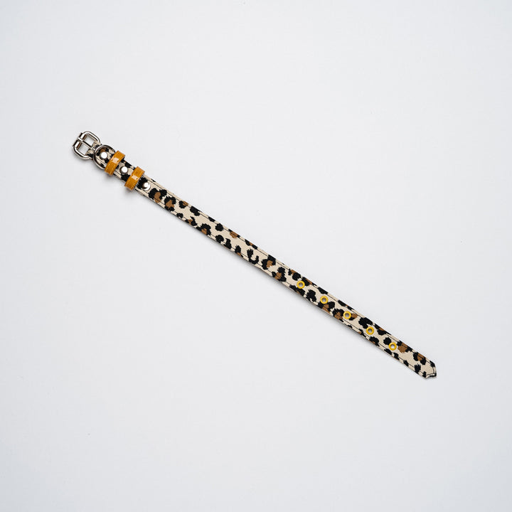 Leopard Print Collar