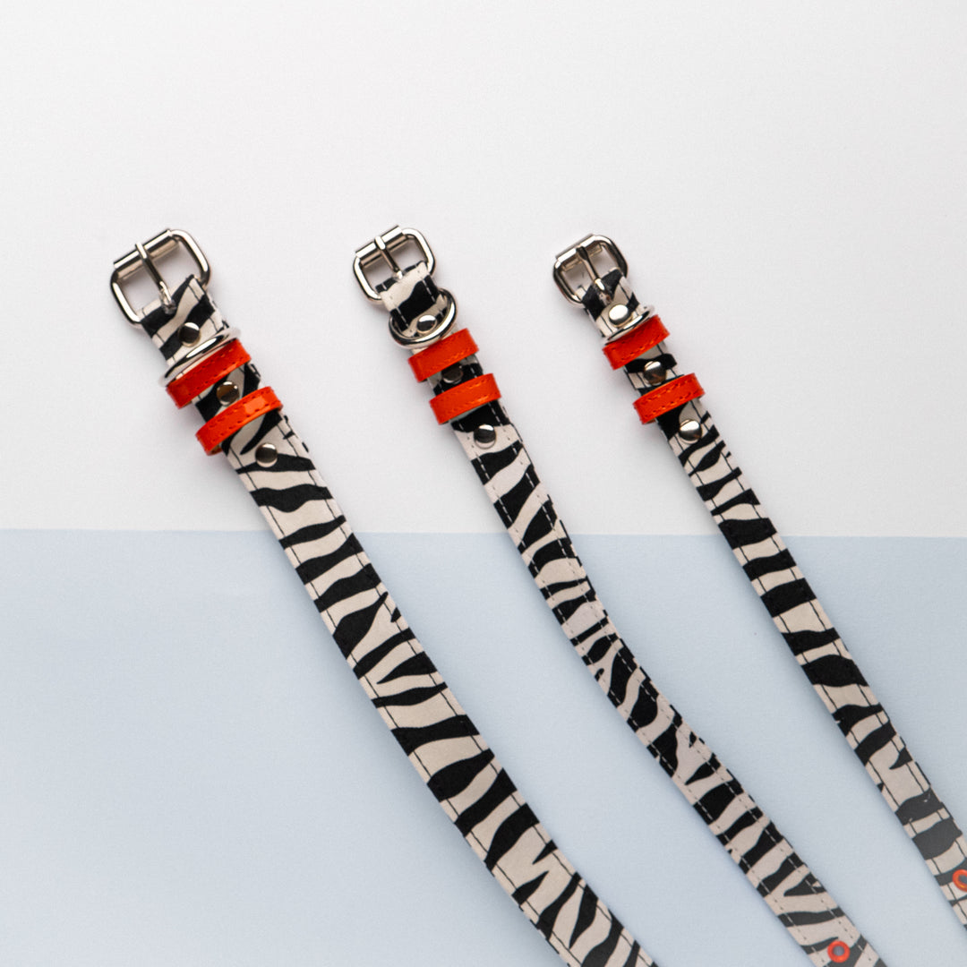 Zebra Pattern Collar