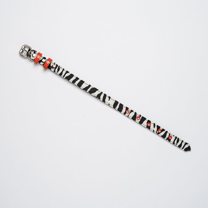 Zebra Pattern Collar