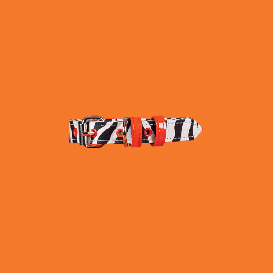 Zebra Pattern Collar