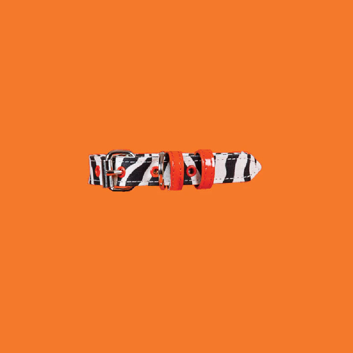 Zebra Pattern Collar