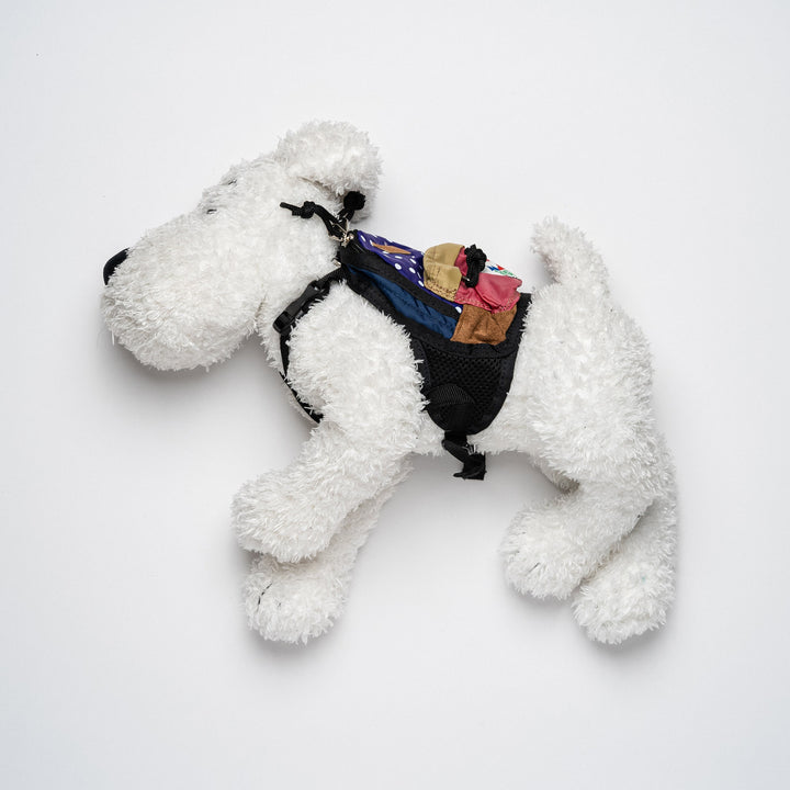 Harness & Backpack for Dogs
