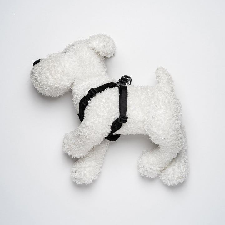 Comfort Harness