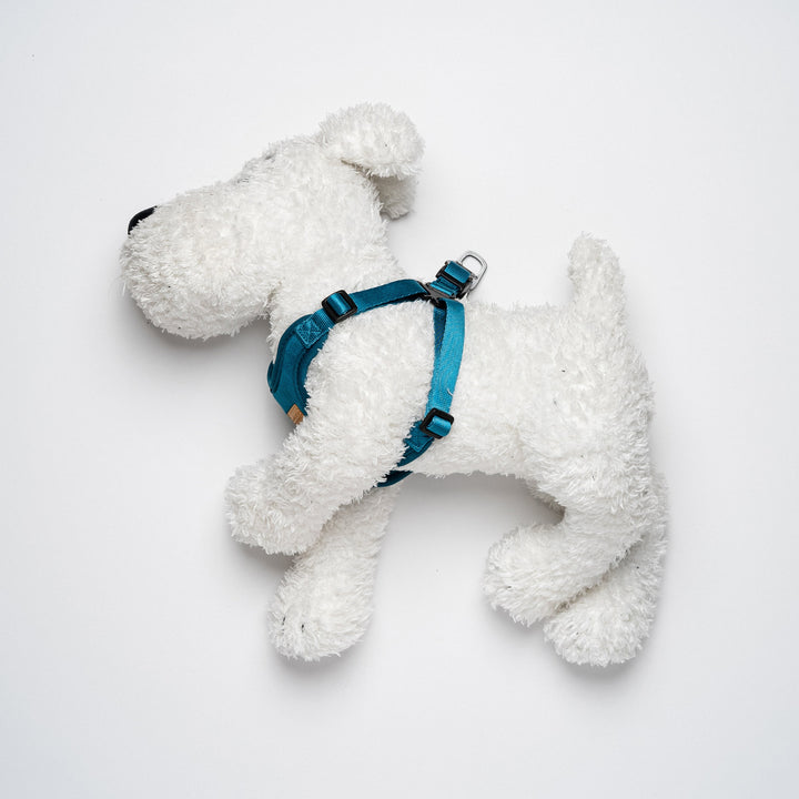 Comfort Harness