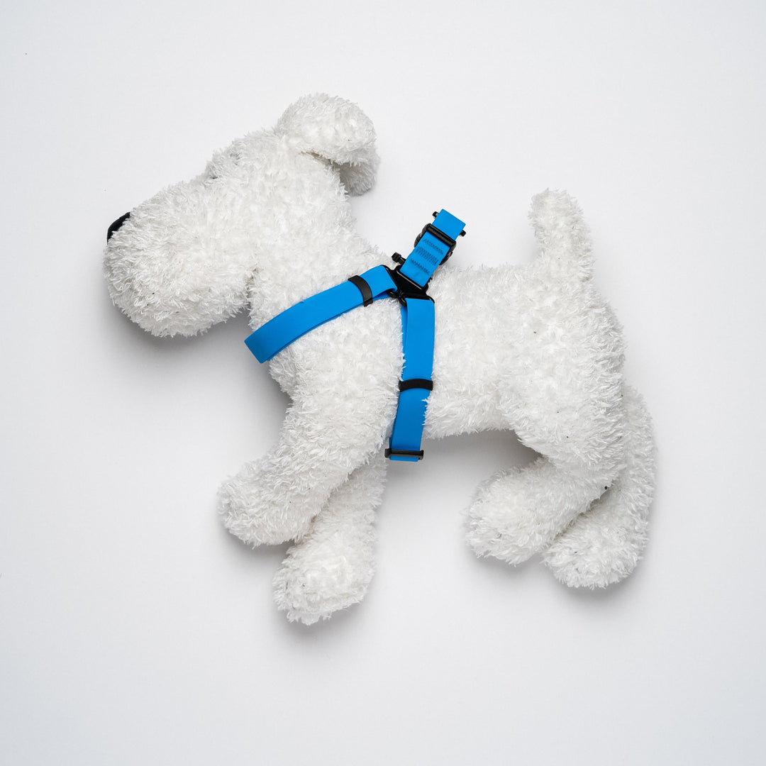 Dewater Harness