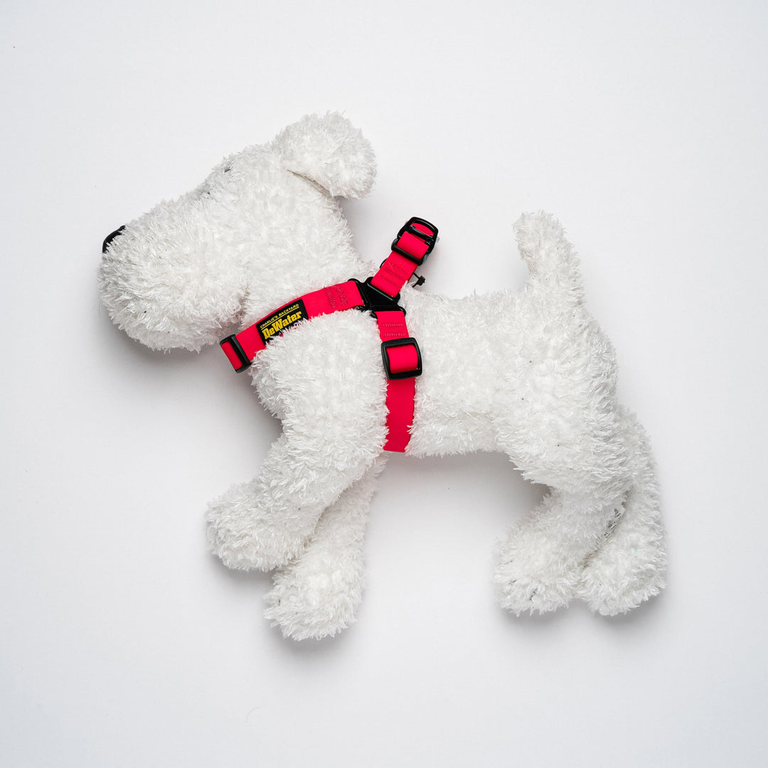 Dewater Harness