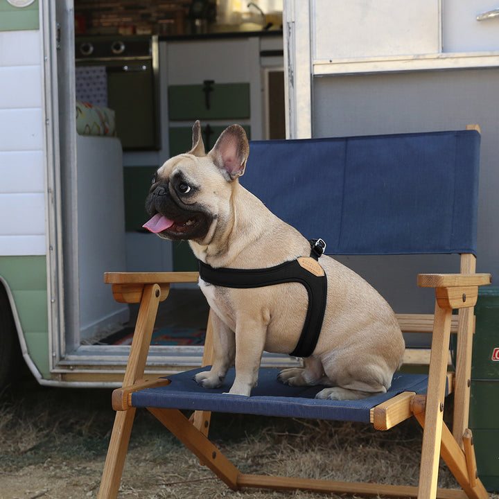Buckle up Easy Harness