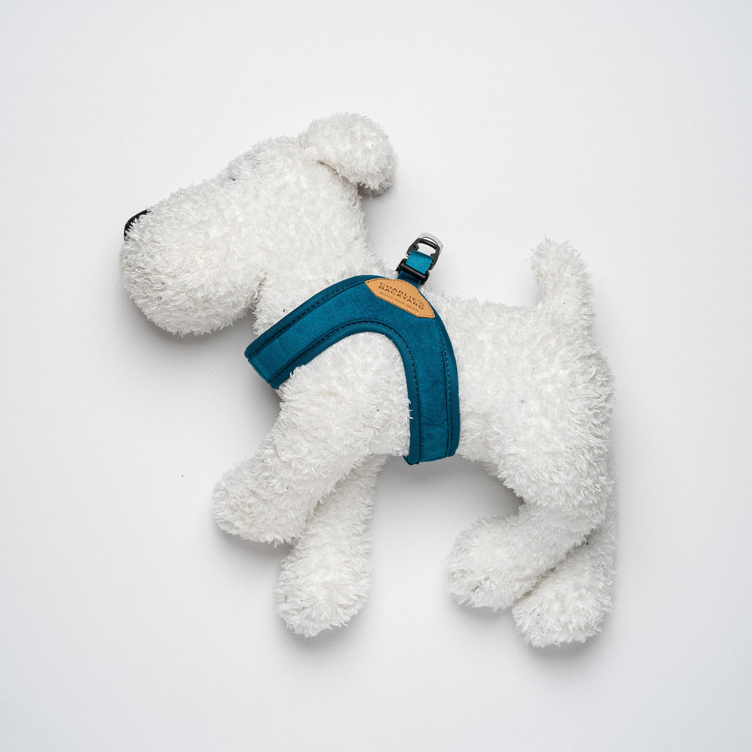 Buckle up Easy Harness