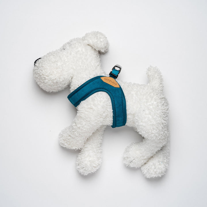Buckle up Easy Harness