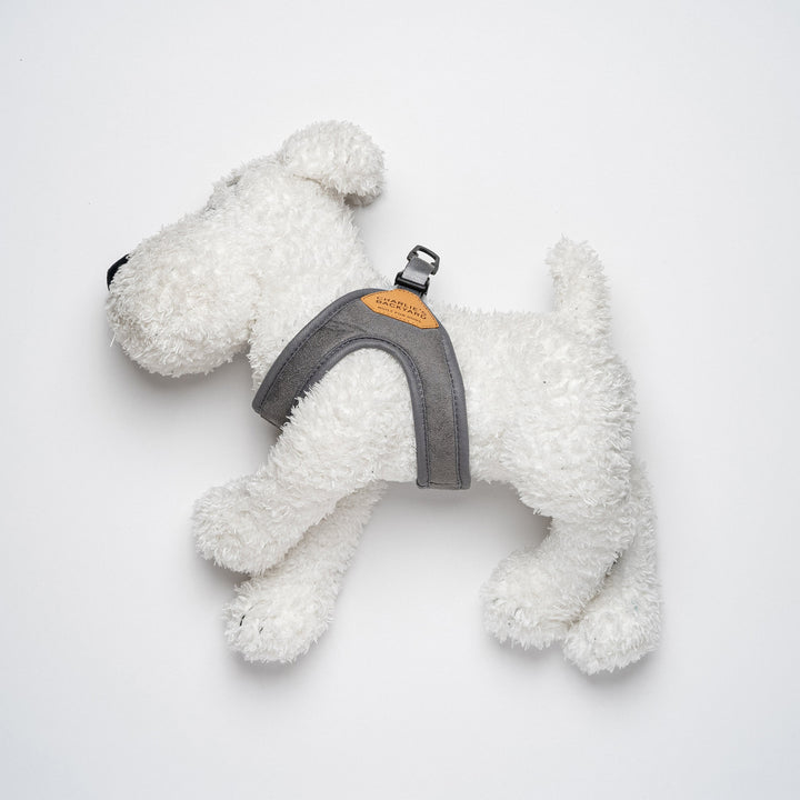 Buckle up Easy Harness