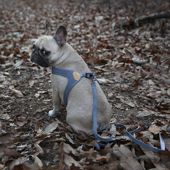 Buckle up Easy Harness