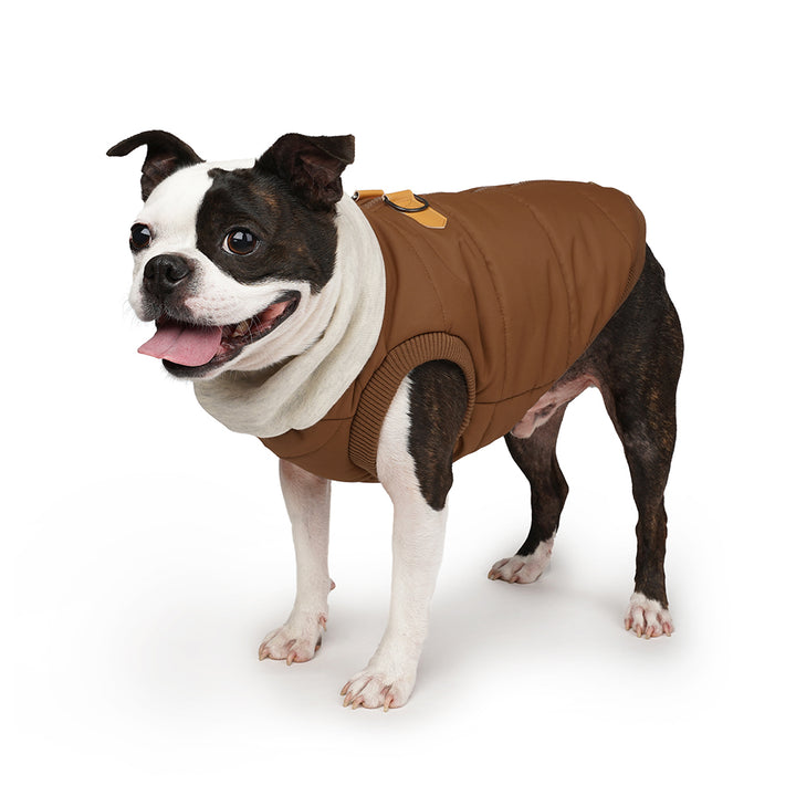Warm Up Harness Jacket