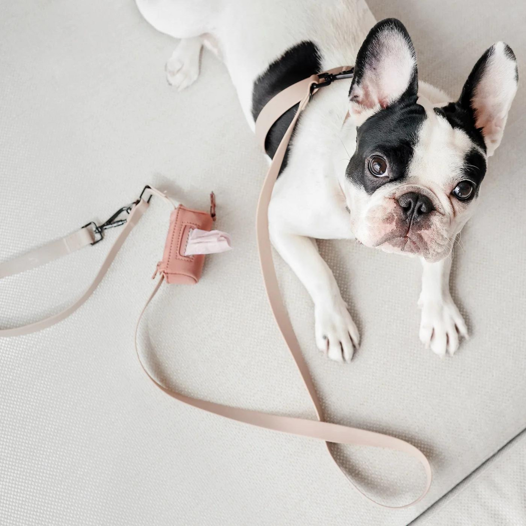 Mellem Adjustable Waterproof Lead