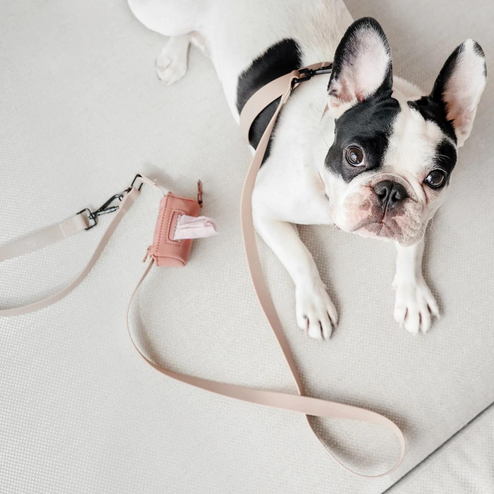 Mellem Adjustable Waterproof Lead
