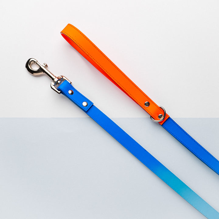 Leather Lead - Blue/Orange