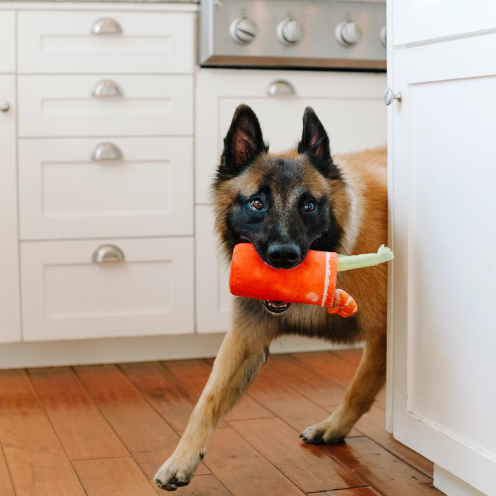 Buddy Mary Dog Toy