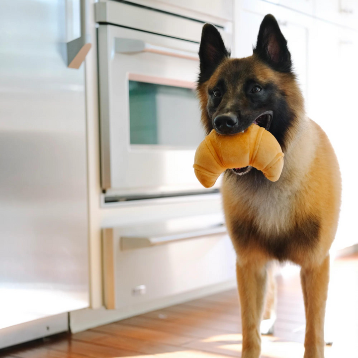 Brunch Pup's Croissant Dog Toy