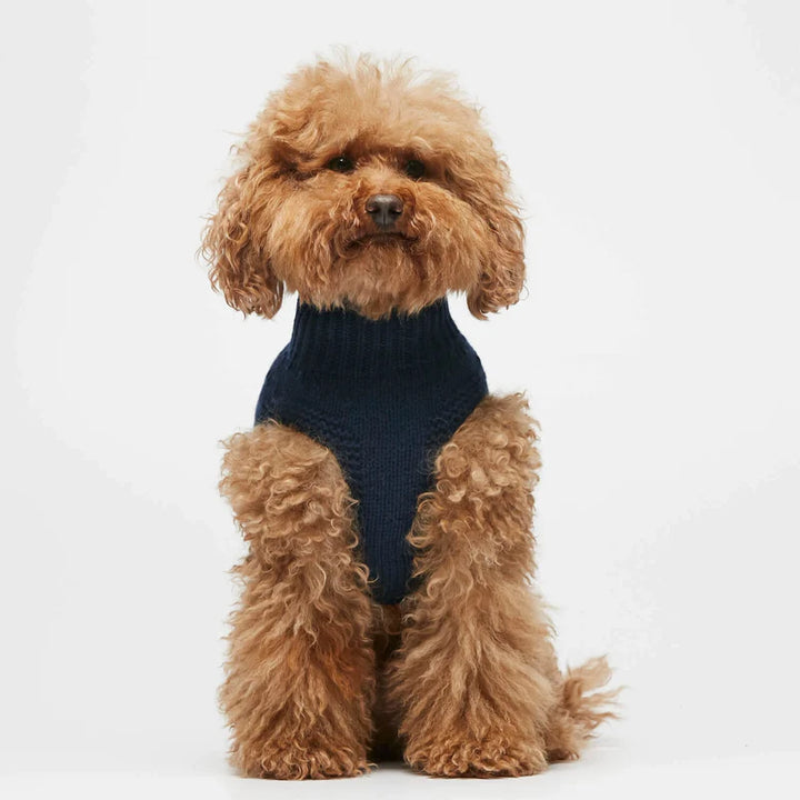 Cotton Sweater
