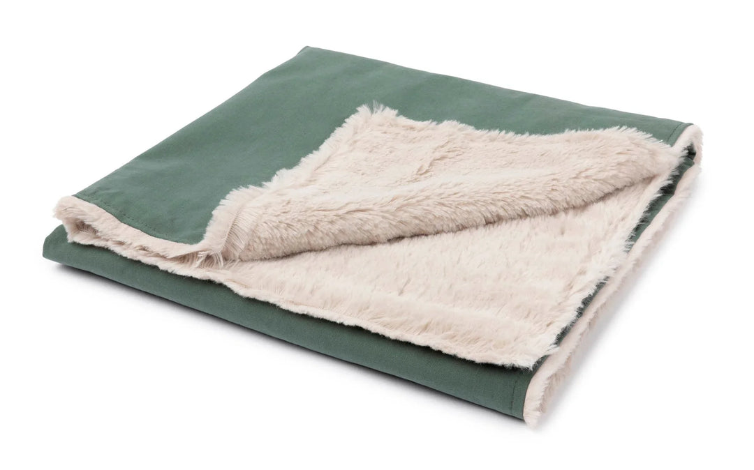 Comforter Blanket
