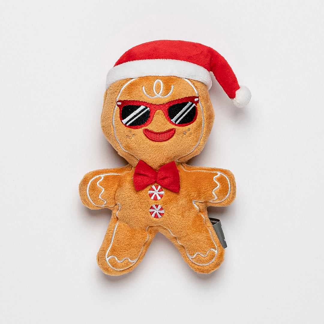 Mr Gingerbread Dog Toy