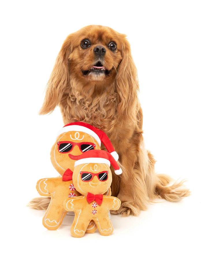 Mr Gingerbread Dog Toy