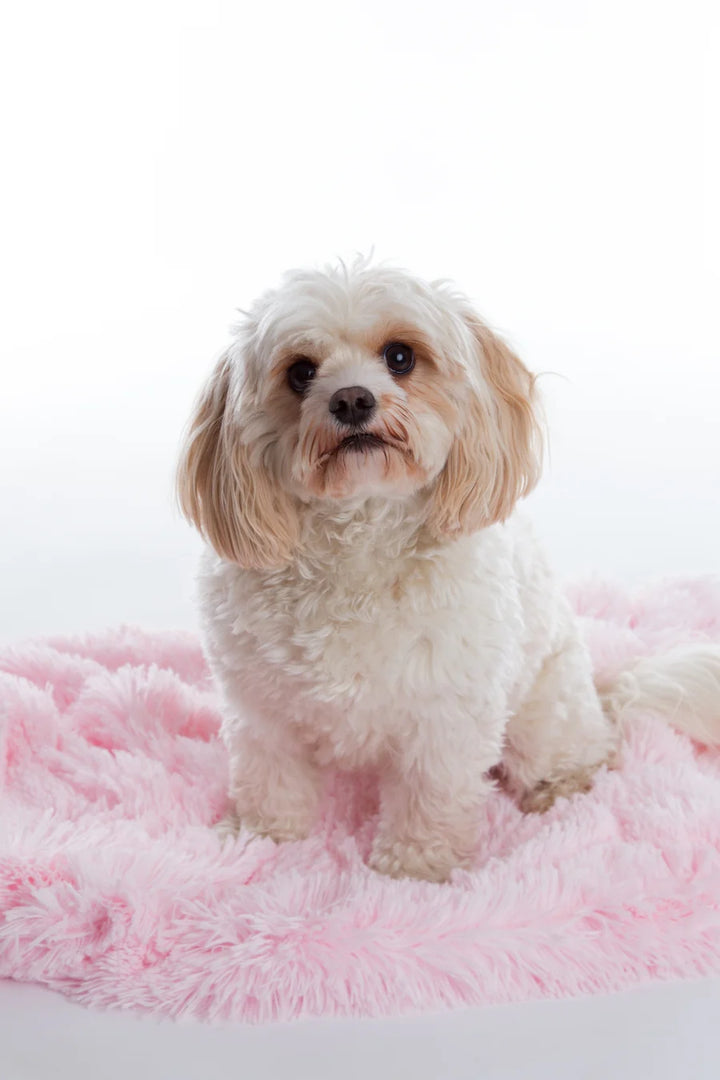 Shaggy Baby Pink Blanket