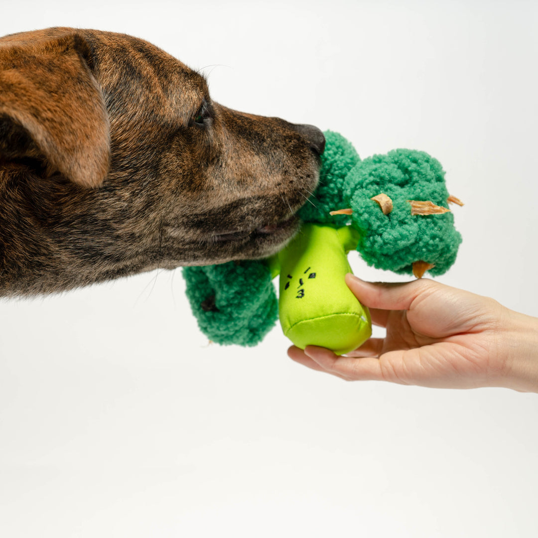 Squeaky Broccoli Dog Toy Broccoli Enrichment Dog Toy – Woofforia