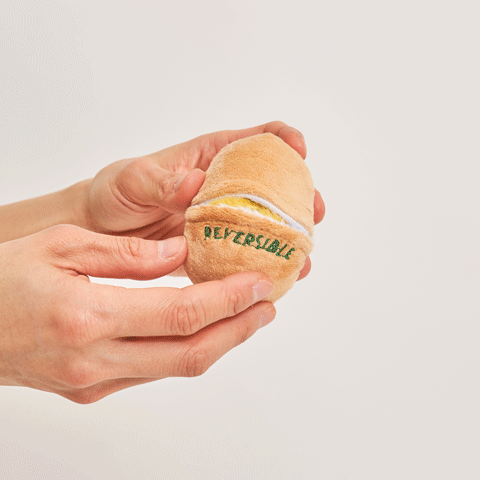 Egg Interactive Dog Toy