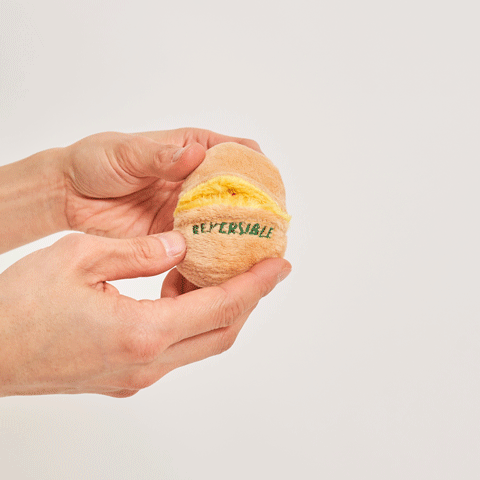 Egg Interactive Dog Toy