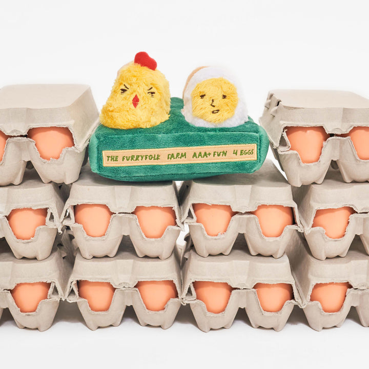 Egg Interactive Dog Toy