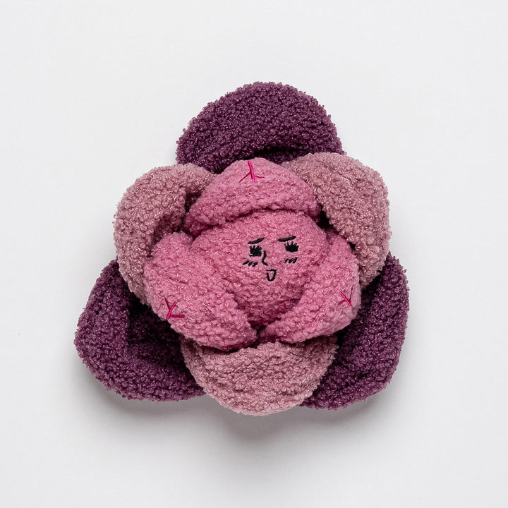 Red Cabbage Interactive Toy