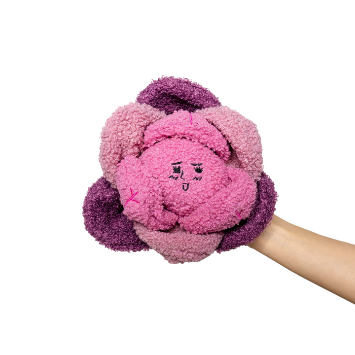 Red Cabbage Interactive Toy