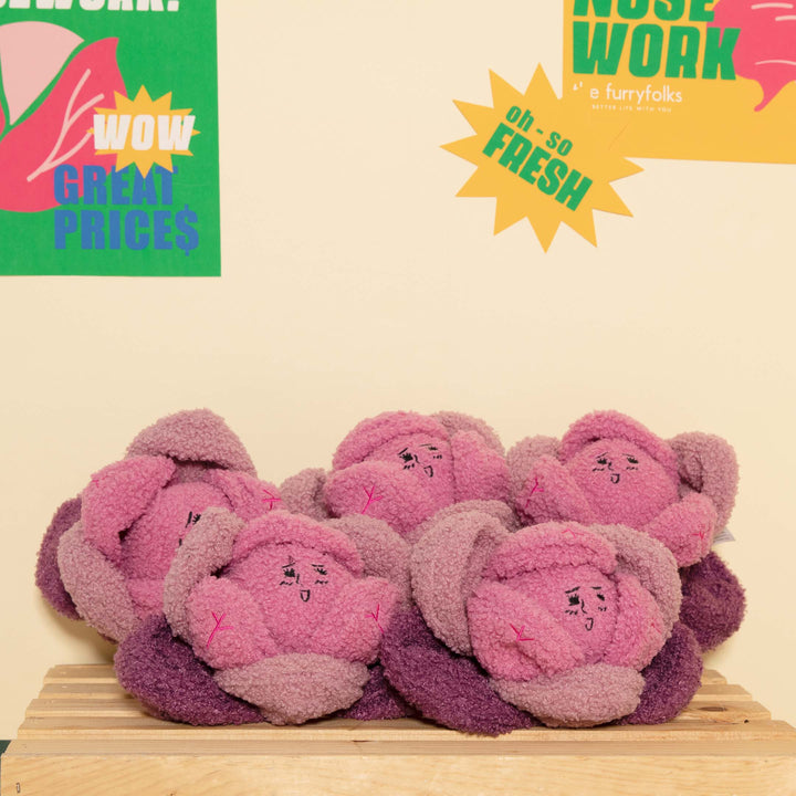 Red Cabbage Interactive Toy