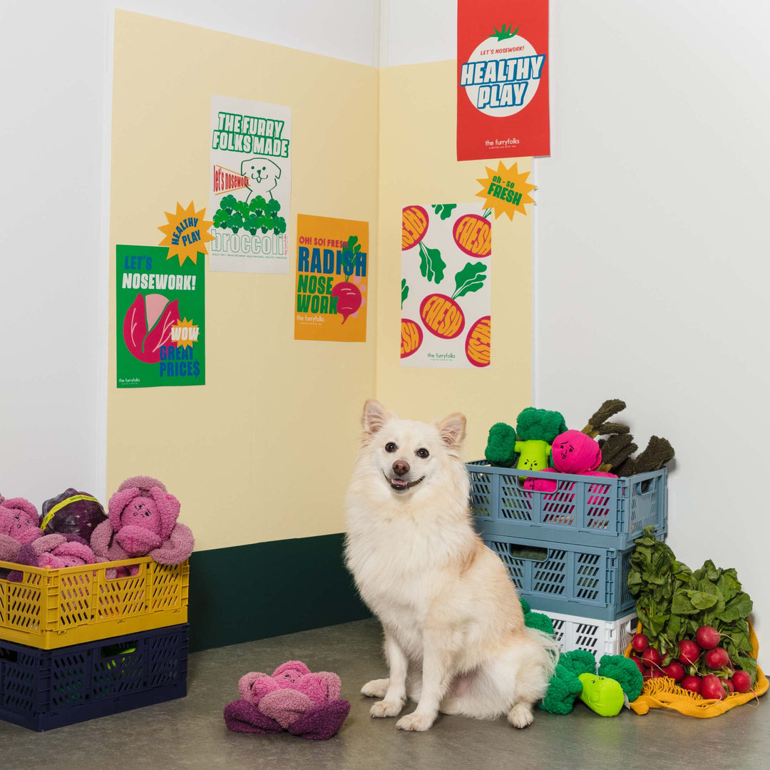 Red Cabbage Interactive Toy