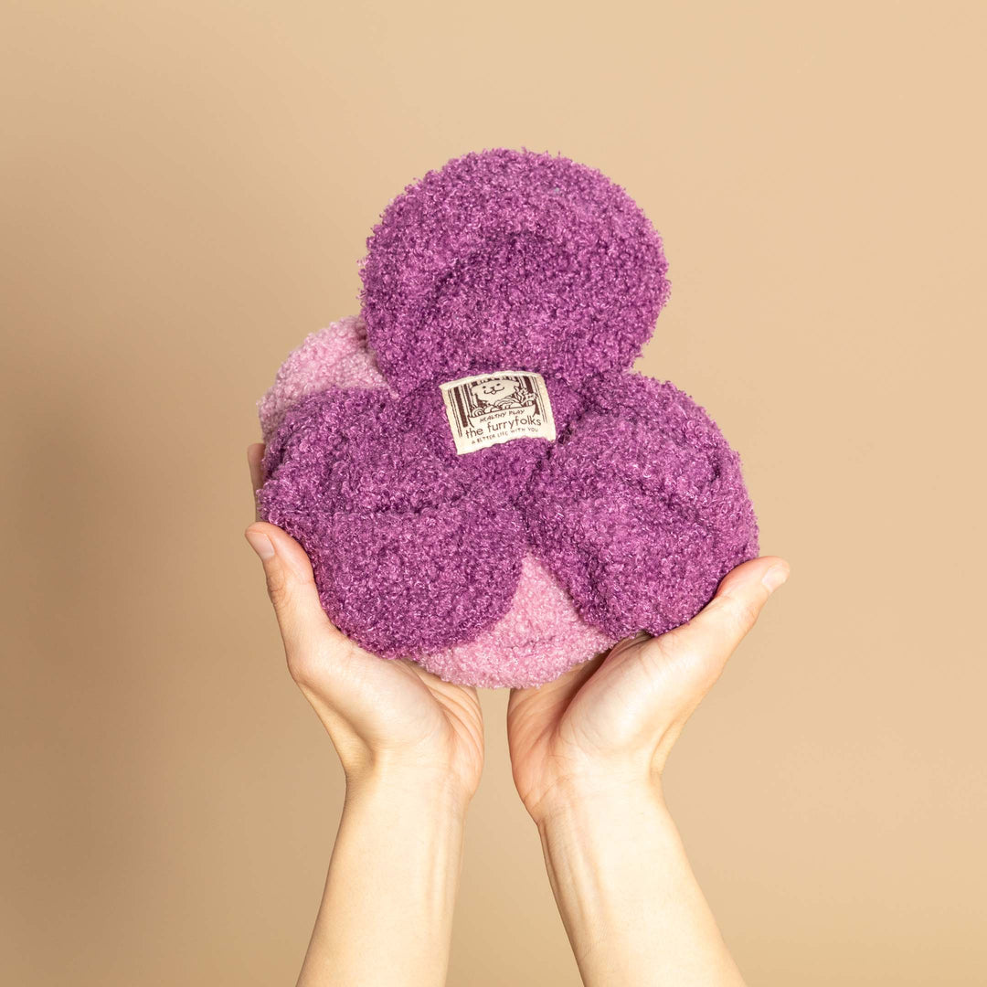 Red Cabbage Interactive Toy