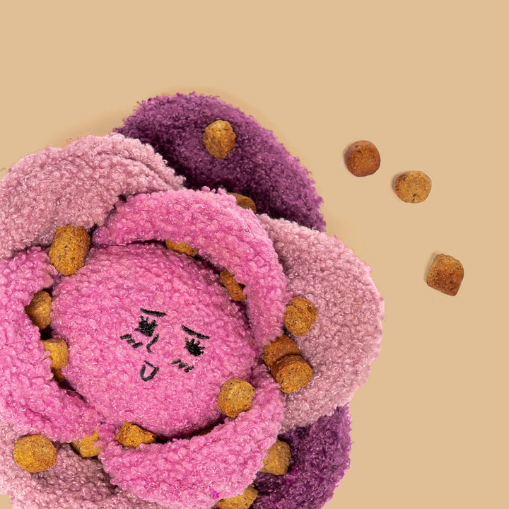 Red Cabbage Interactive Toy
