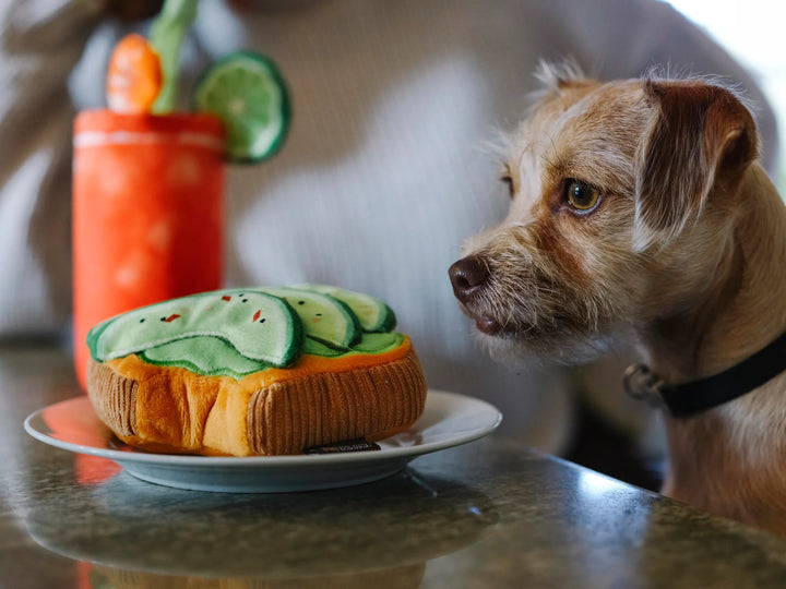 Brunch Avo-Doggo Toast