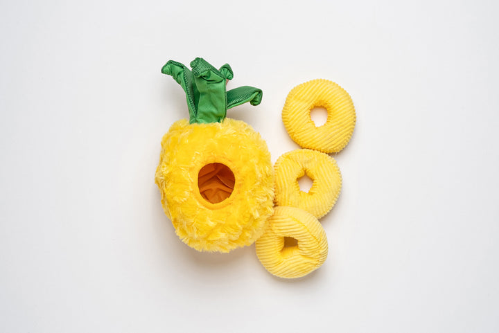 Tropical Paradise Pineapple