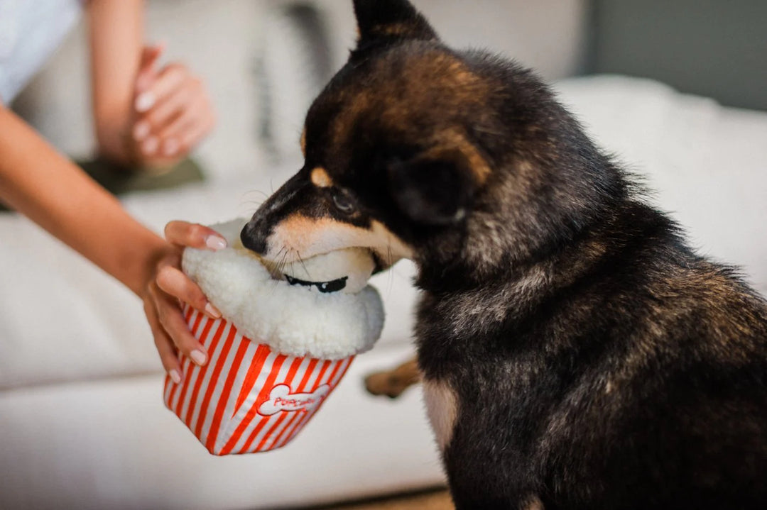 Poppin' Pupcorn
