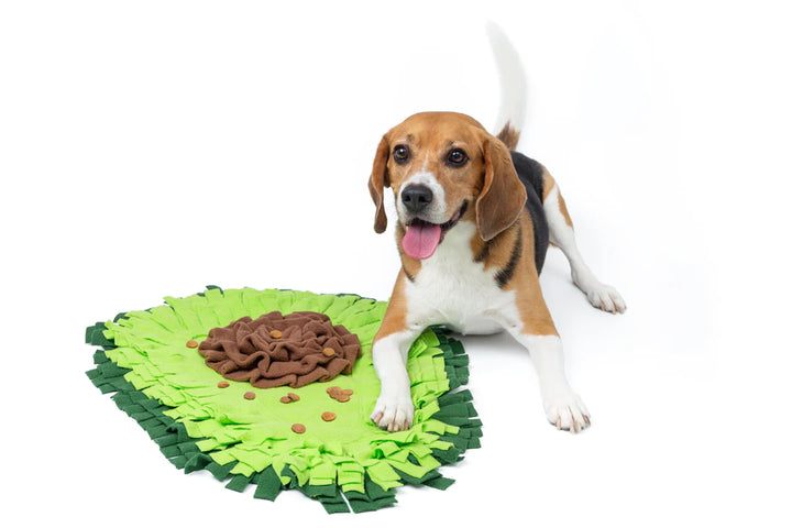 Avocado Feeding Mat