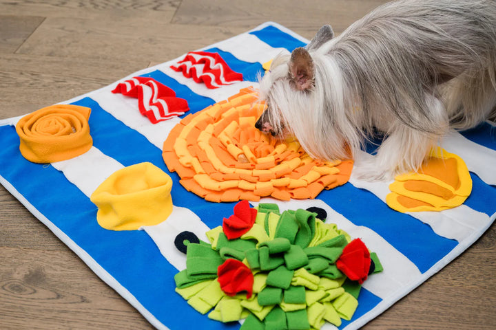 Breakfast Snuffle Feeding Mat