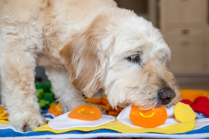 Breakfast Snuffle Feeding Mat