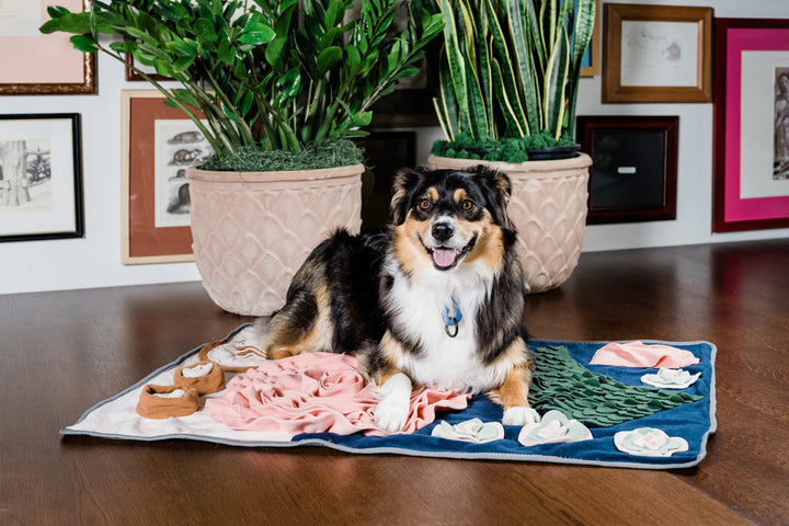 Dinner Table Snuffle Feeding Mat