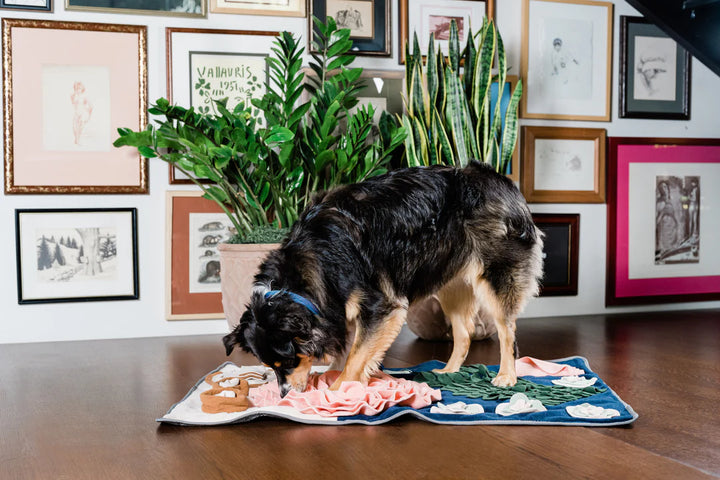 Dinner Table Snuffle Feeding Mat