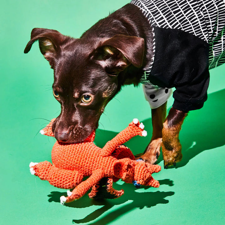 Hand Crochet Dragon