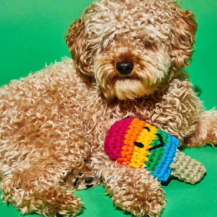 Crochet Popsicle